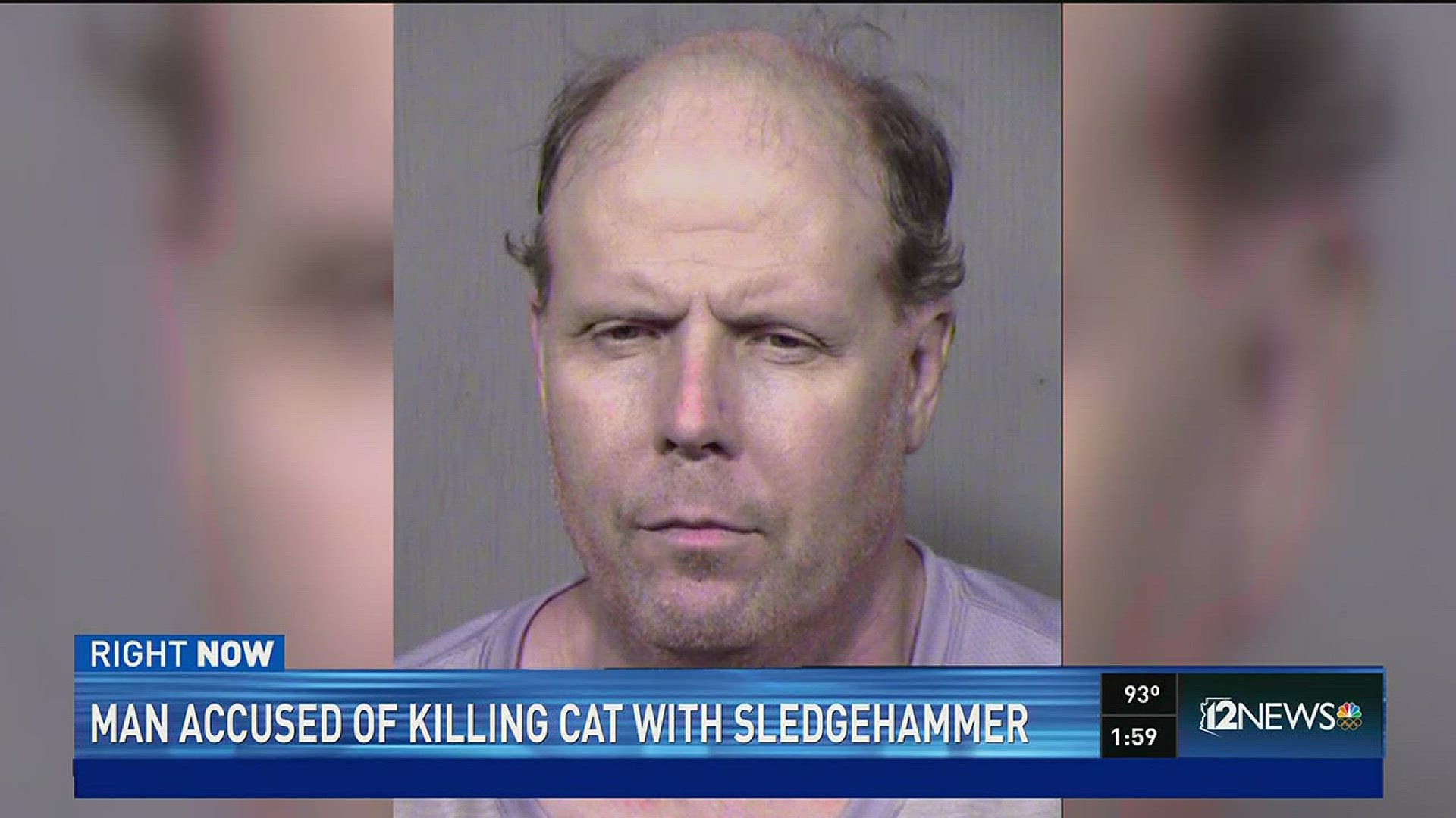 Phoenix police said James Henry Fox allegedly killed his cat in his driveway on Wednesday.