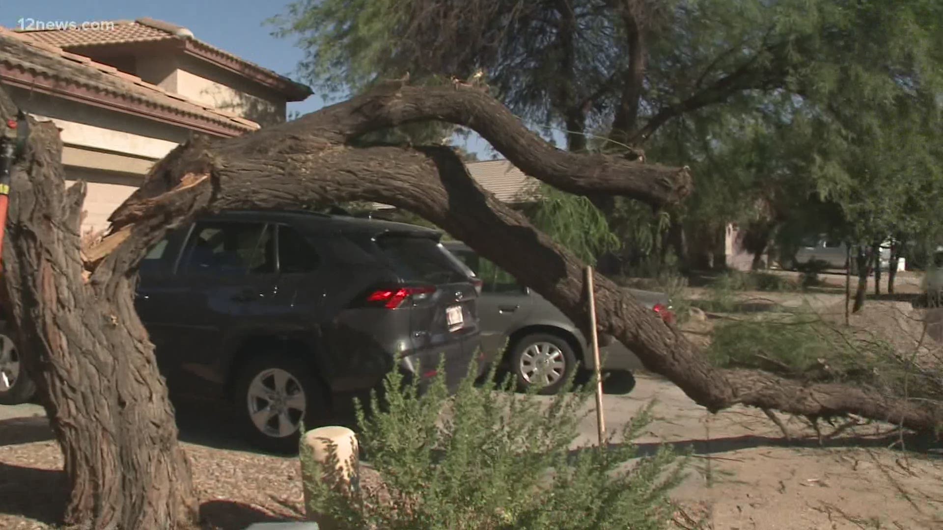 Crews are working to clear a section of a tree out of the way in a Queen Creek neighborhood. A chunk that came down covers an entire section of the sidewalk.