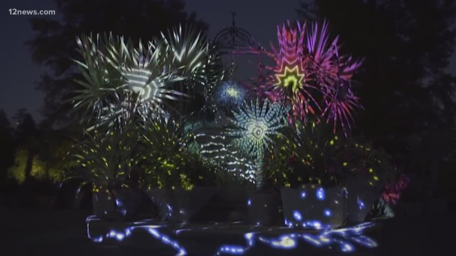Through Mother's Day weekend you can see the desert light up in a whole new way. An electric light and sound display has transformed the Desert Botanical Garden in Phoenix.