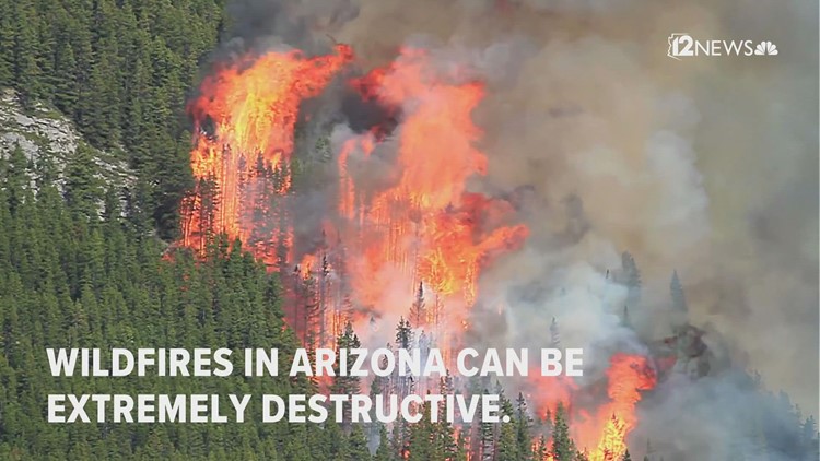 How to prevent wildfires in Arizona