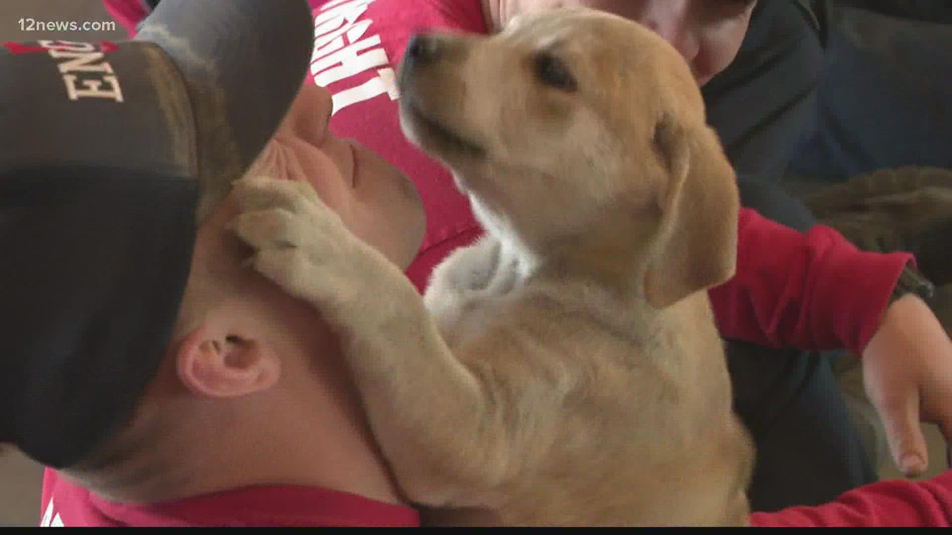 Learning to fight fires and save lives can be stressful. Recruits going through training in Glendale got a break from the pressure thanks to some puppy love.