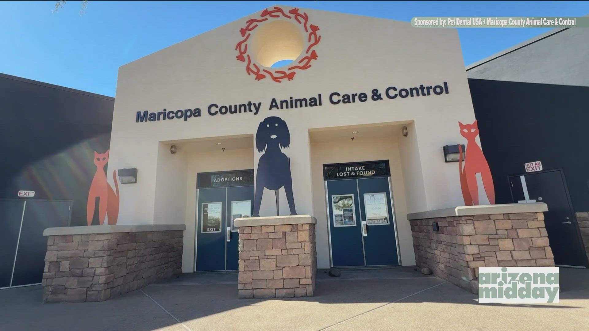 We visited Maricopa County Animal Care & Control to find out how you can give a pet a "furever" home for Pet Dental USA's Pet of the Week. We also have your pawcast.