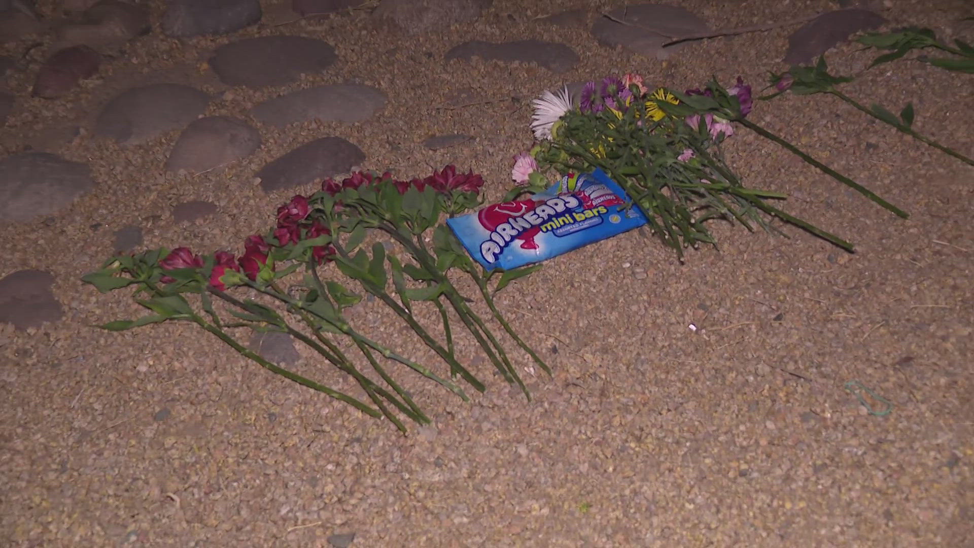 Friends remembers teen killed in Phoenix ATV crash | 12news.com