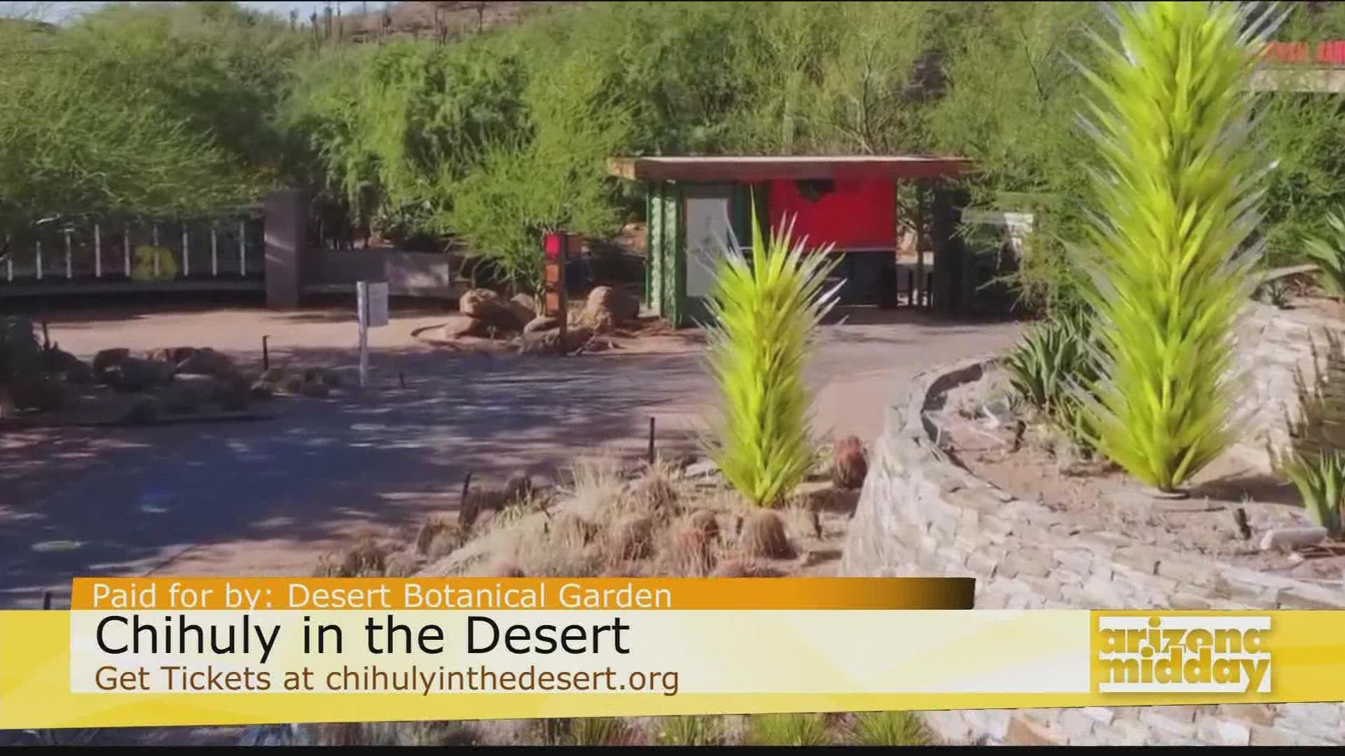 Lauren Warren & Niki Stewart share how are lovers can experience Chihuly in the Desert at the Desert Botanical Garden & Frank Lloyd Wright's Taliesin West