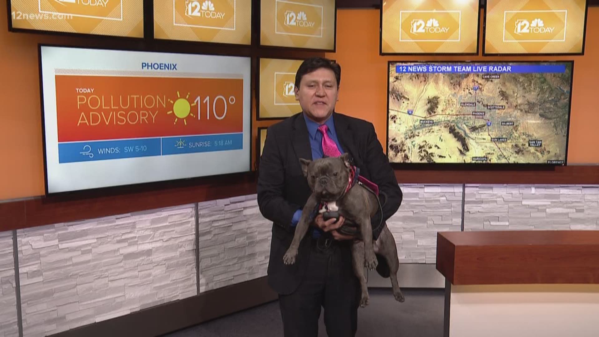 To celebrate Take Your Dog to Work Day, Jimmy Q brought in his dog to help with the Phoenix forecast.