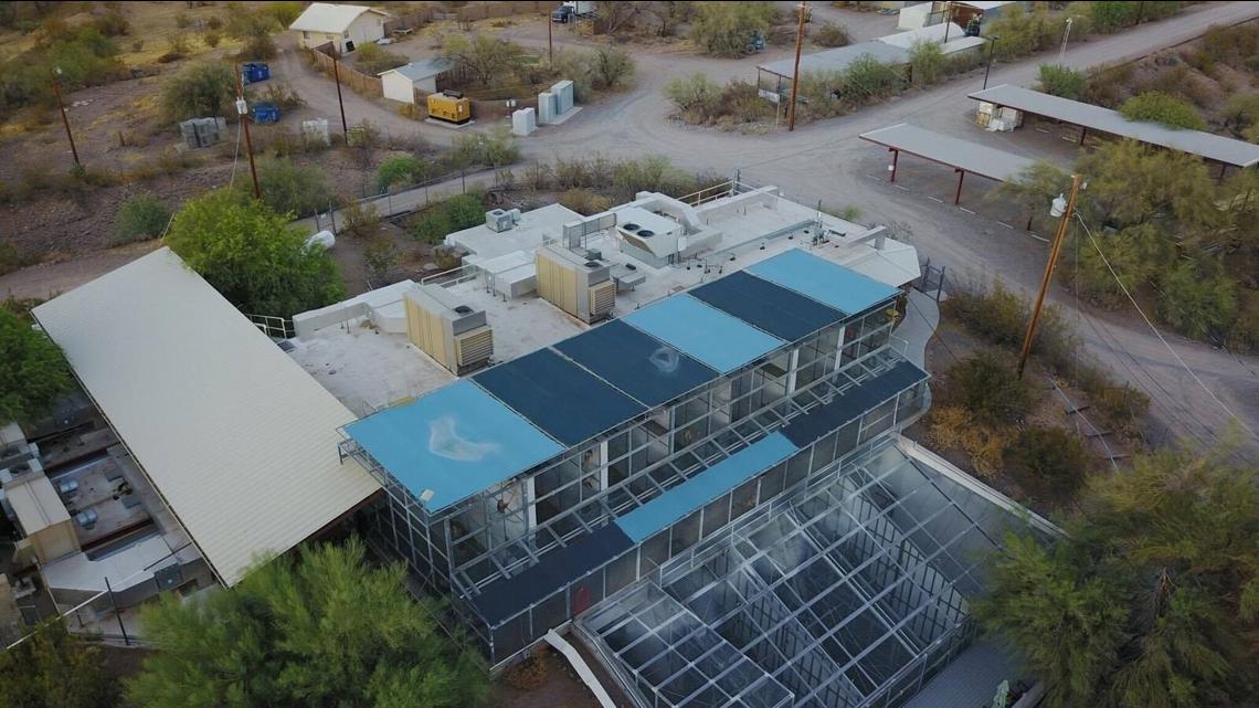 Complaint accuses Mesa monkey facility of not protecting staff - Vimarsana News
