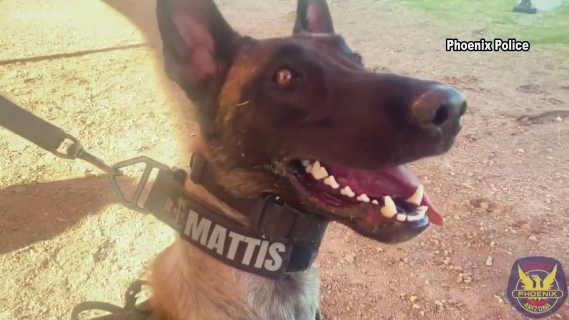 are thc edibles drug dogs trained to smell