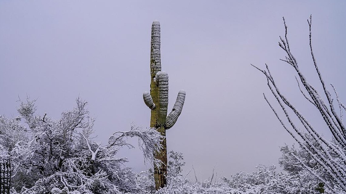 Phoenix sees coldest temperature since 2013