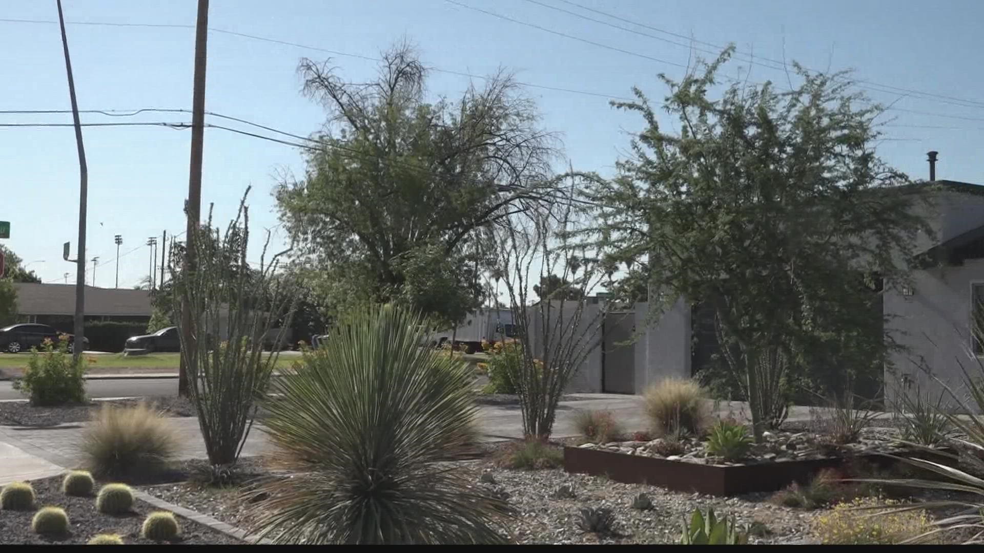Xeriscaping your home could be beneficial for the environment and your wallet. Jen Wahl has more on how you can adopt a more drought-tolerant landscape at your home.