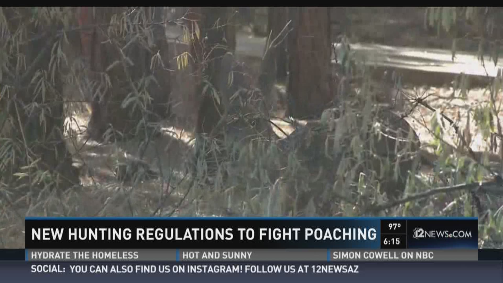 New hunting permits change bow hunting in Flagstaff area