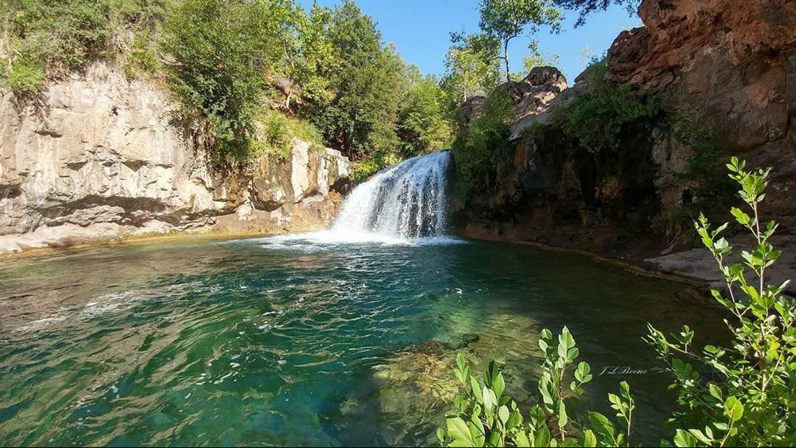 se permiten perros en el parque de fossil creek