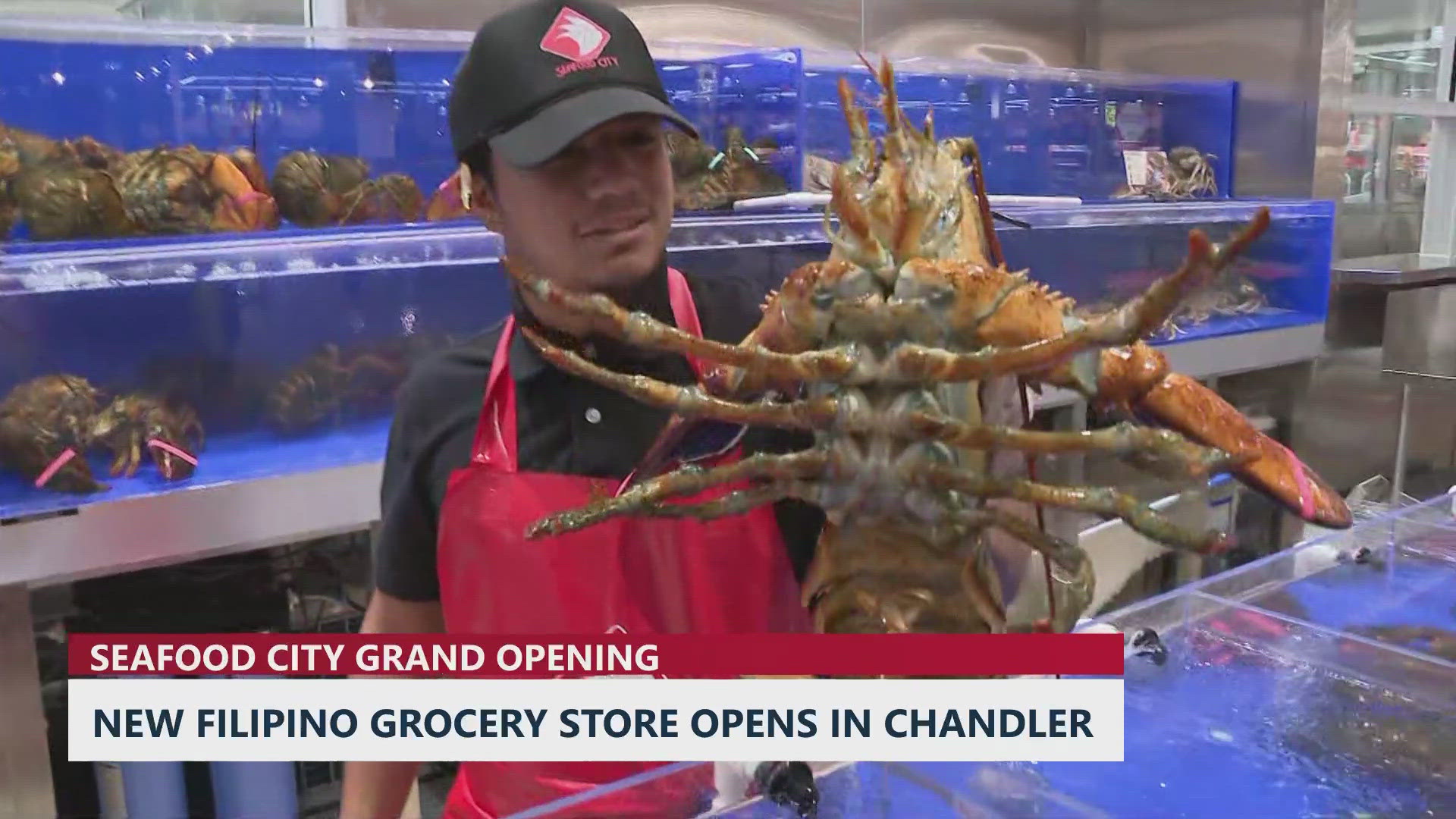 Article Scoring Guide Example Chandler welcomes Seafood City's biggest North American market | 12news.com