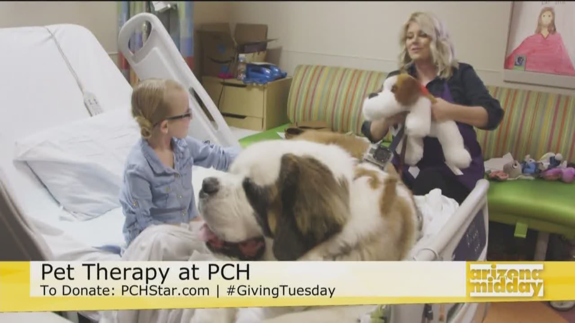 Nicole Bidwill, V.P./Owner of the Arizona Cardinals, shares how pet therapy voluteers bring a smile to the patients at Phoenix Children's Hospital.