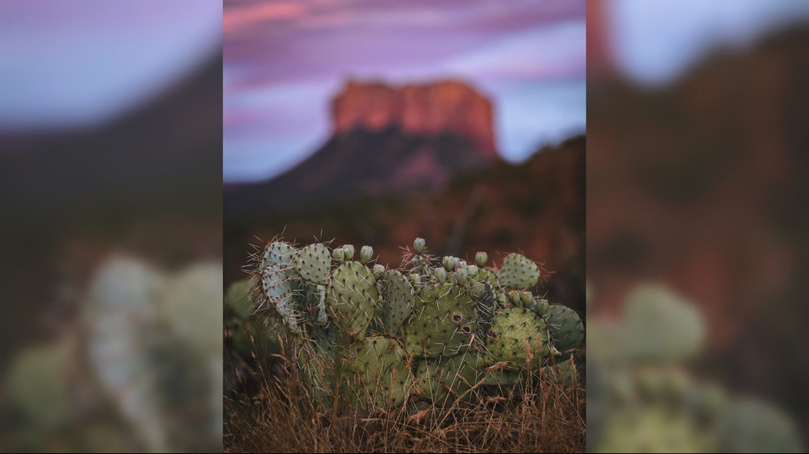 Tonto National Forest Announces Closures Due To Drought Fire Dangers   495452204 1140x641 