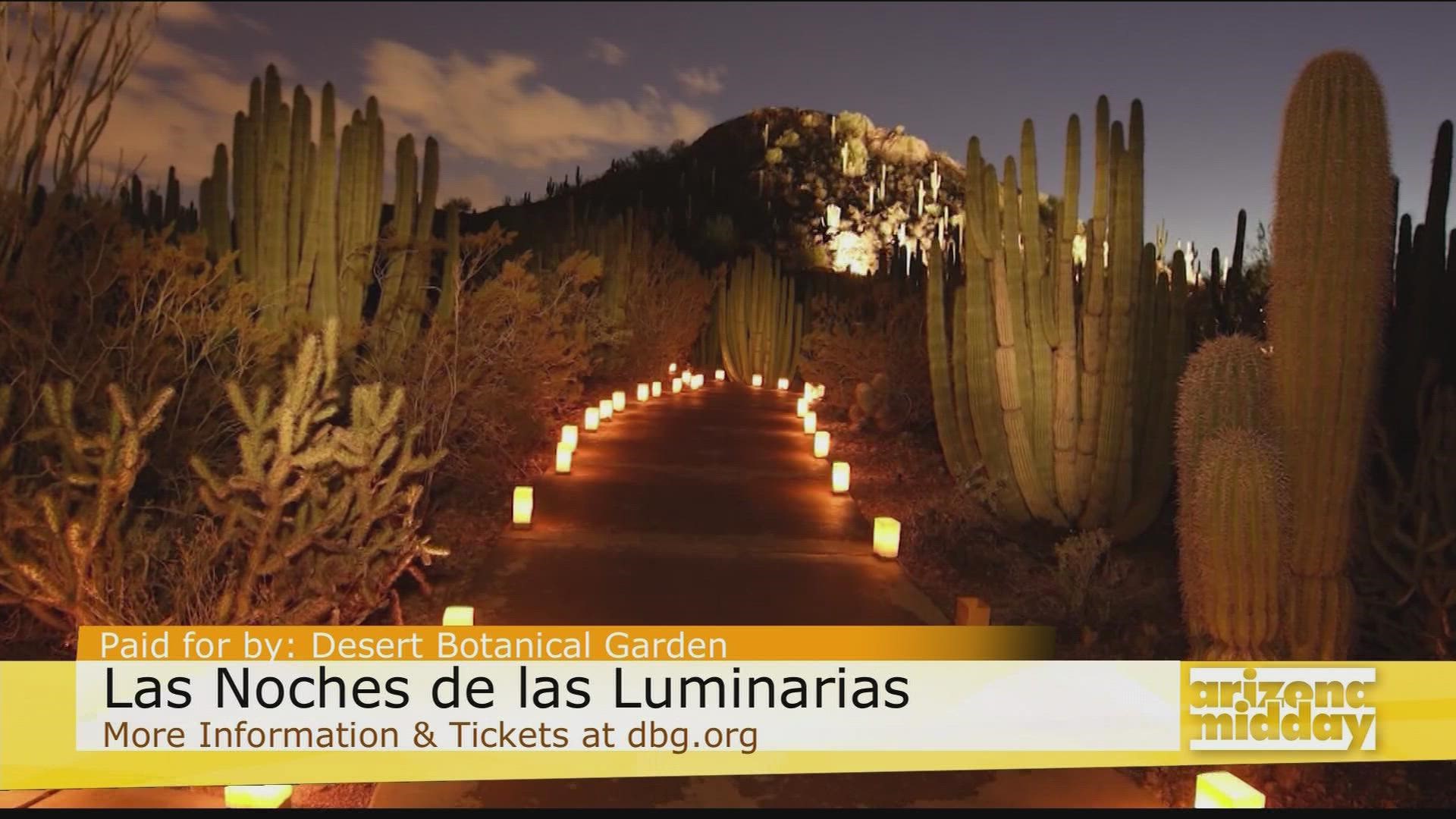 Amber Salazar with Desert Botanical Garden shows us what to expect at this year's Las Noches de las Luminarias event plus the art that will be at the gardens