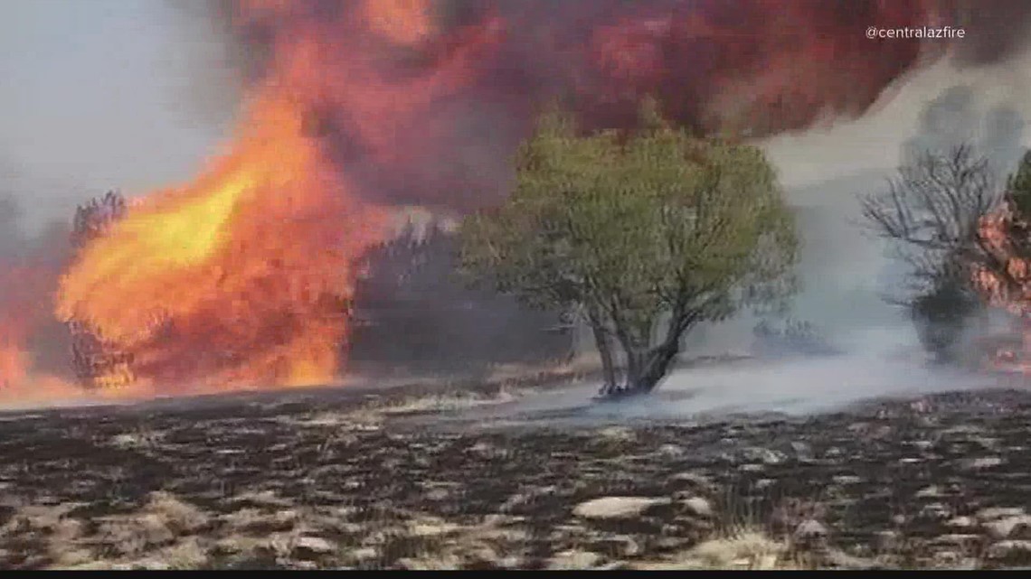 Arizona wildfires: Morning updates for June 20