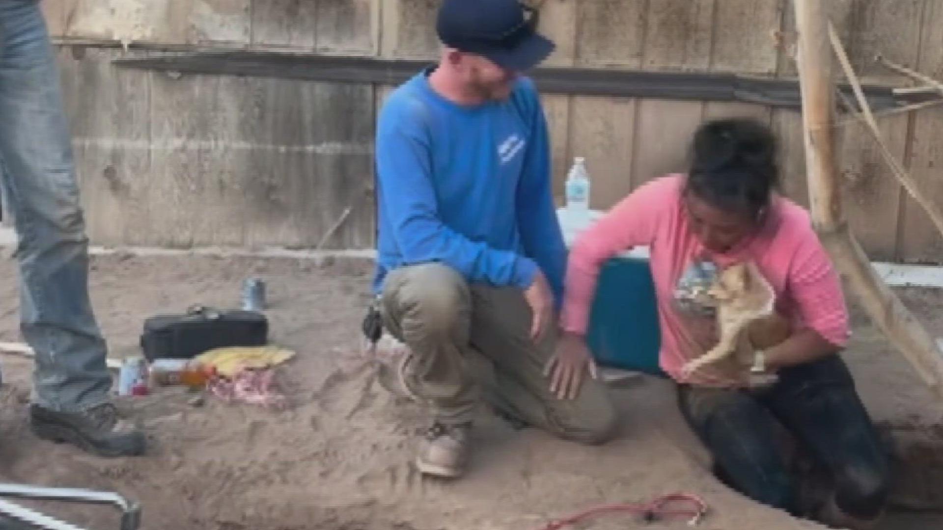 A small army of people helped to get the dog out of the hole where it had been trapped for four days.