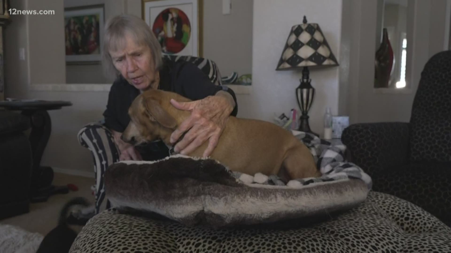 She has been taking care of the animals for the entire 6-week span that the family was quarantined.