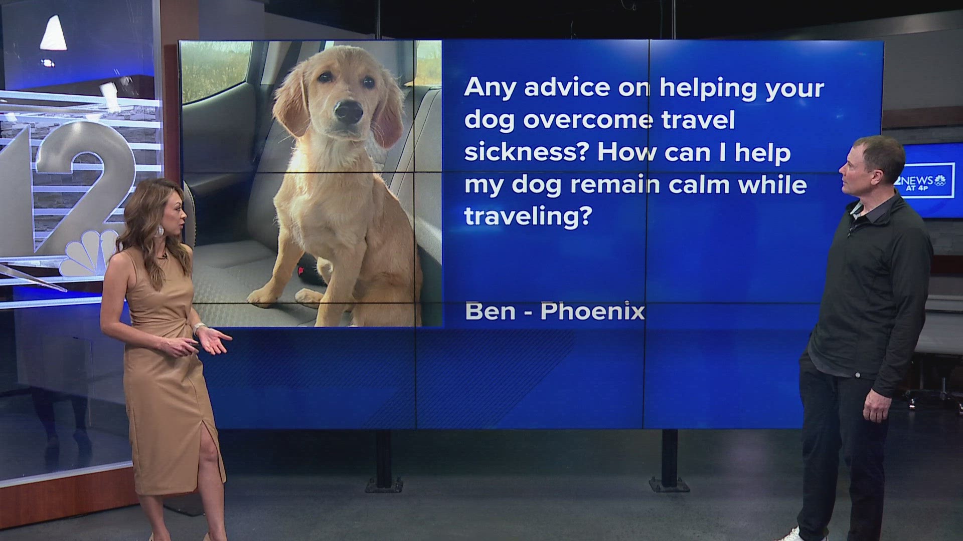 arizona-vet-answers-your-questions-about-dog-illness-12news