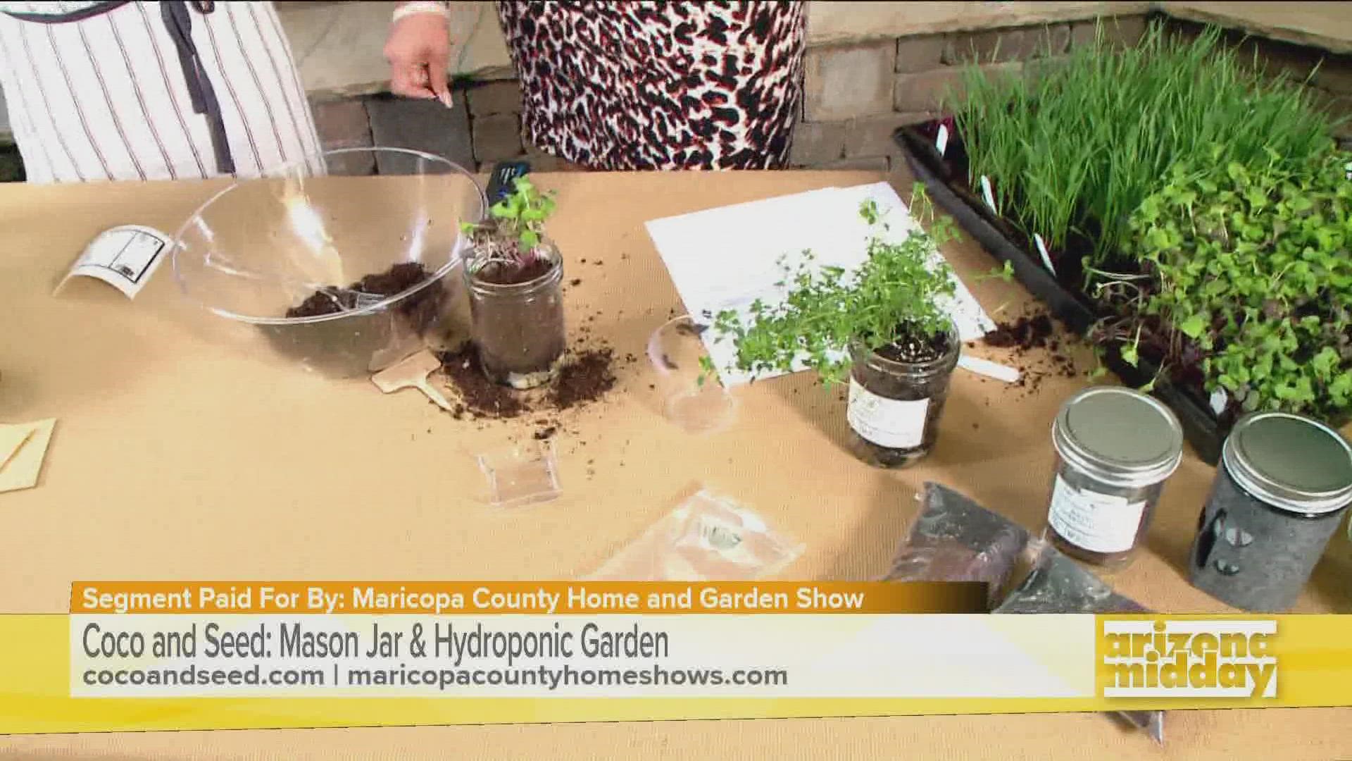 Tishana de Coco and Seed nous montre comment créer un jardin à l'aide de bocaux Mason.  Retrouvez-la au Maricopa Home & Garden Show à Westworld ce week-end.