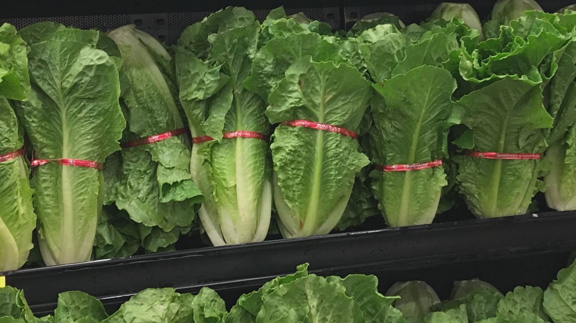 Contaminated Arizona-grown lettuce: What you need to know about E. coli ...