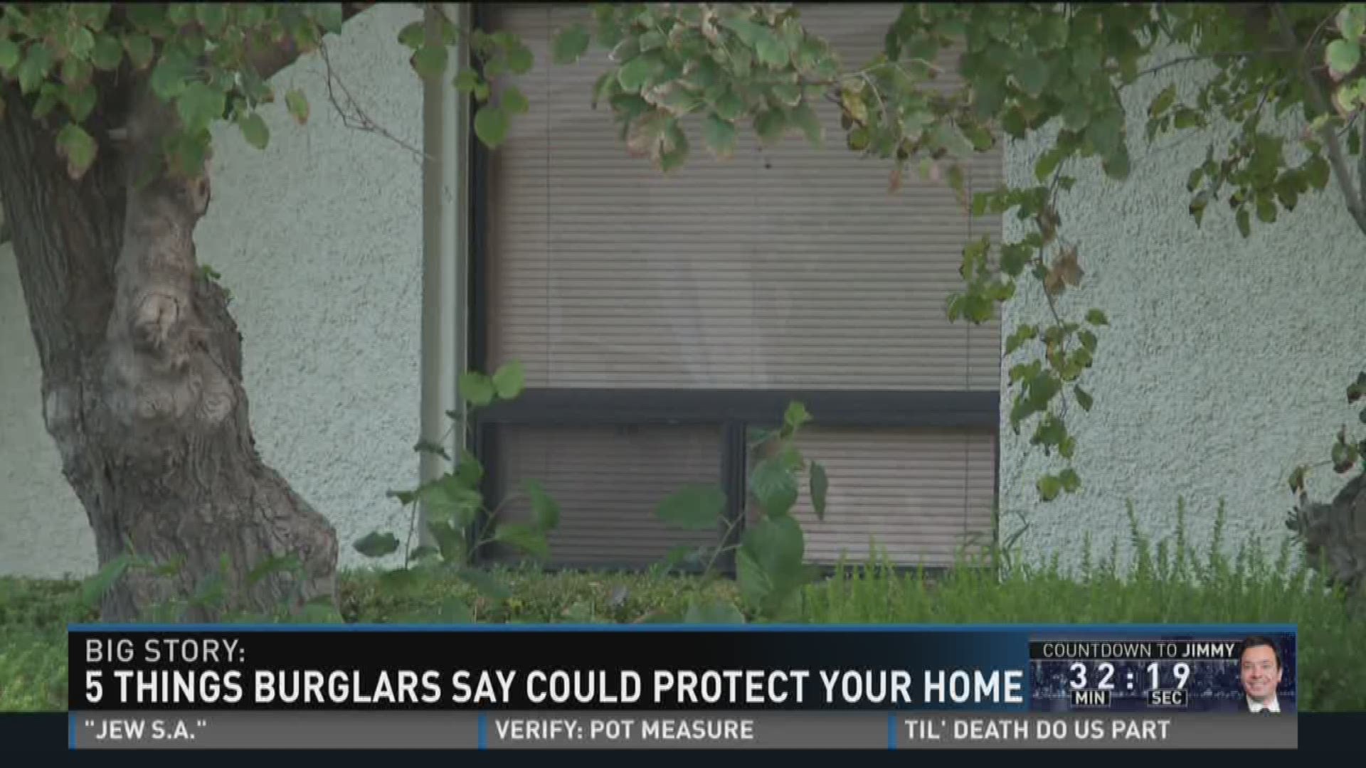 5 things burglars say could protect your home.