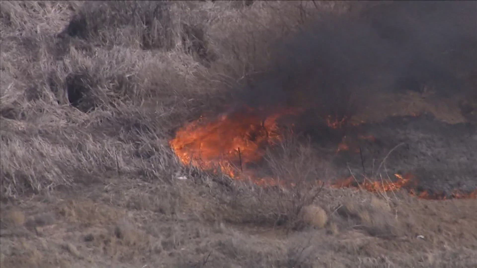 This year experts predict will be a dangerous season for wildfires in Arizona. Especially with how many they've seen so far.