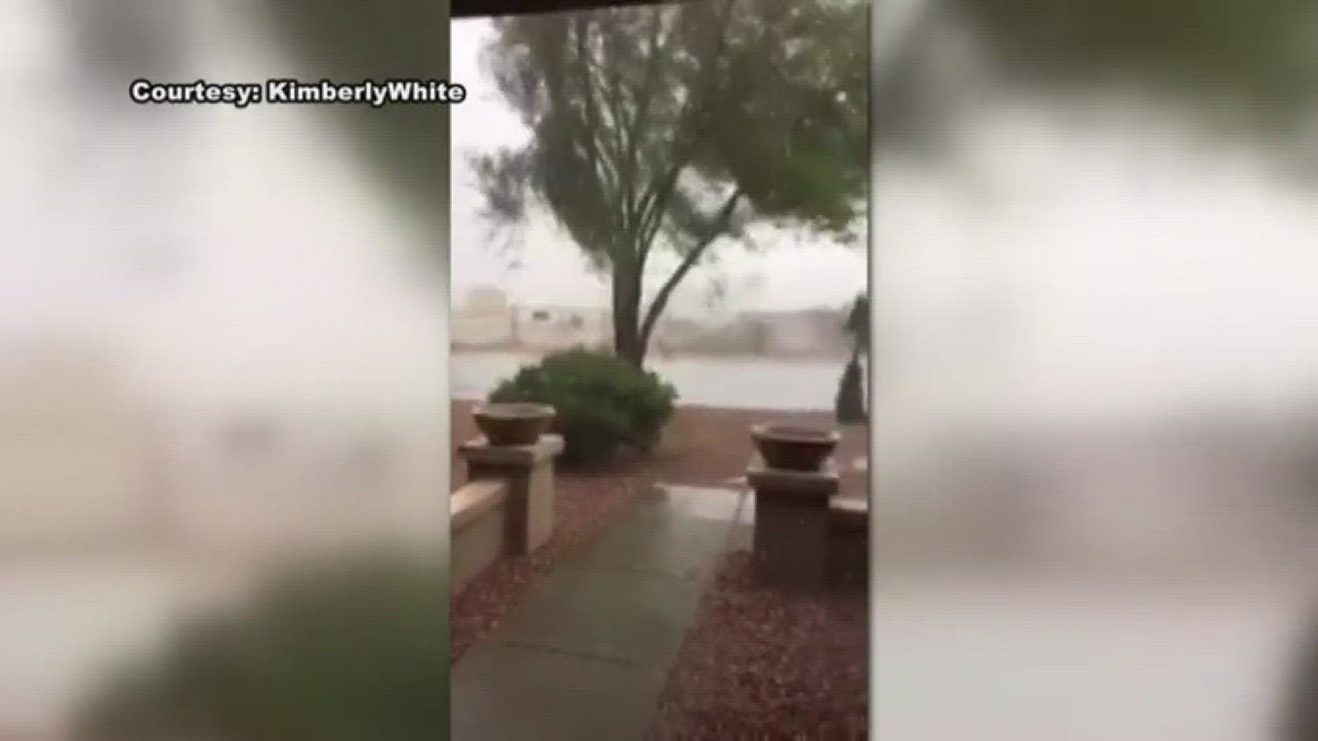 Viewers from Anthem to downtown Phoenix share their weather videos from August 2017 with 12 News.