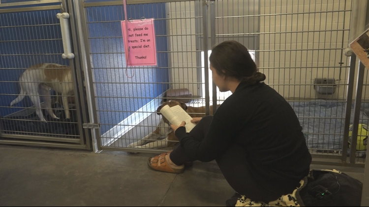 You can now read to sheltered pups and cats to help them find homes