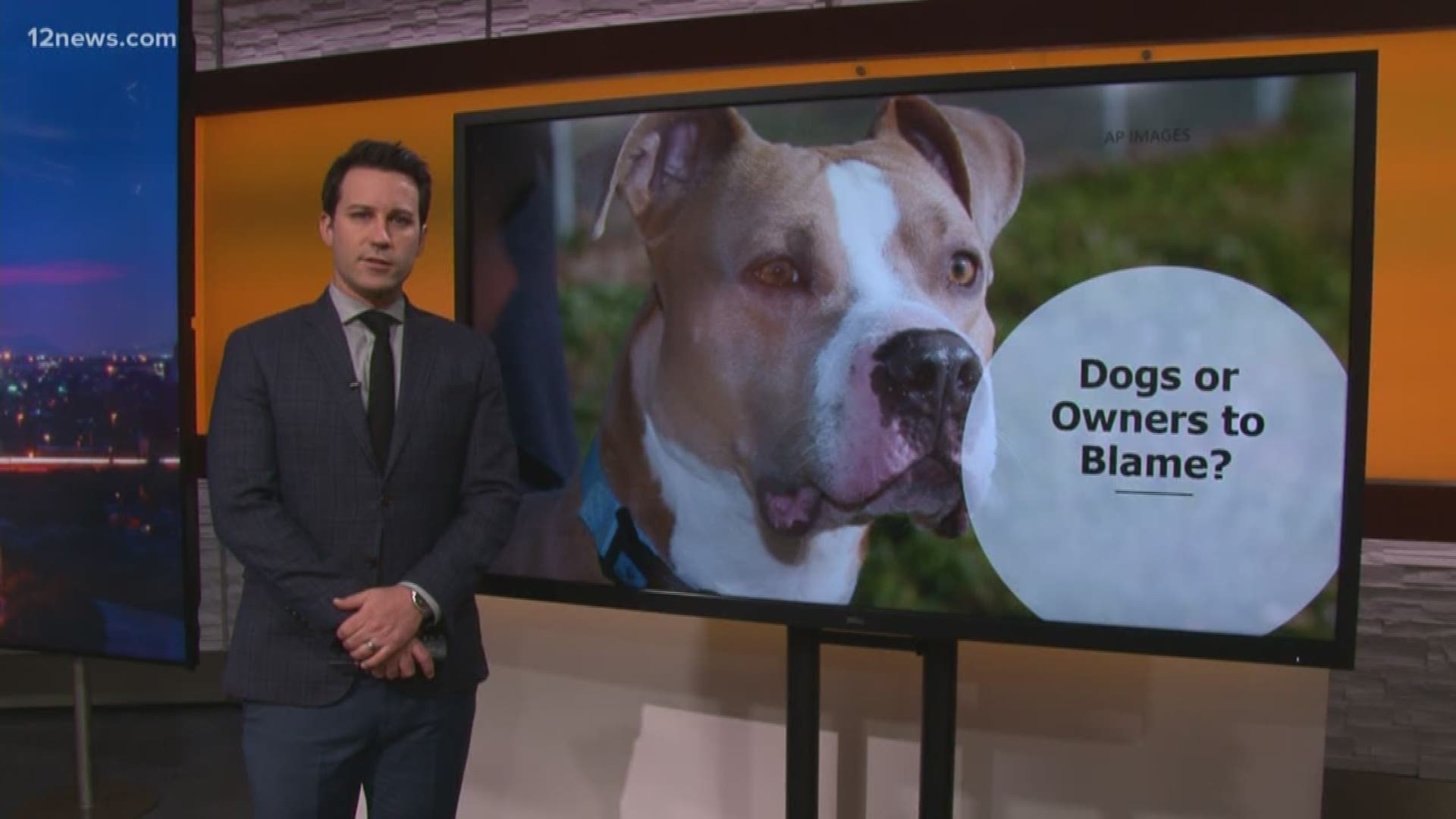 Twelve countries have a ban on pit bulls and 900 cities in 31 states allow regulations on them. Team 12’s Ryan Cody has your answers.