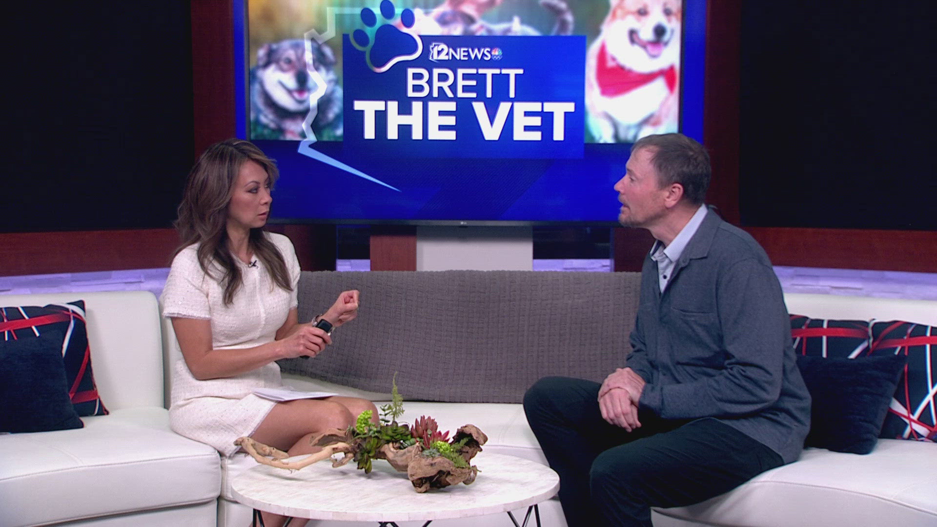 Brett the Vet says if it is good for you, it is good for your pet: avoid fatty and sugary foods, but turkey may be okay.