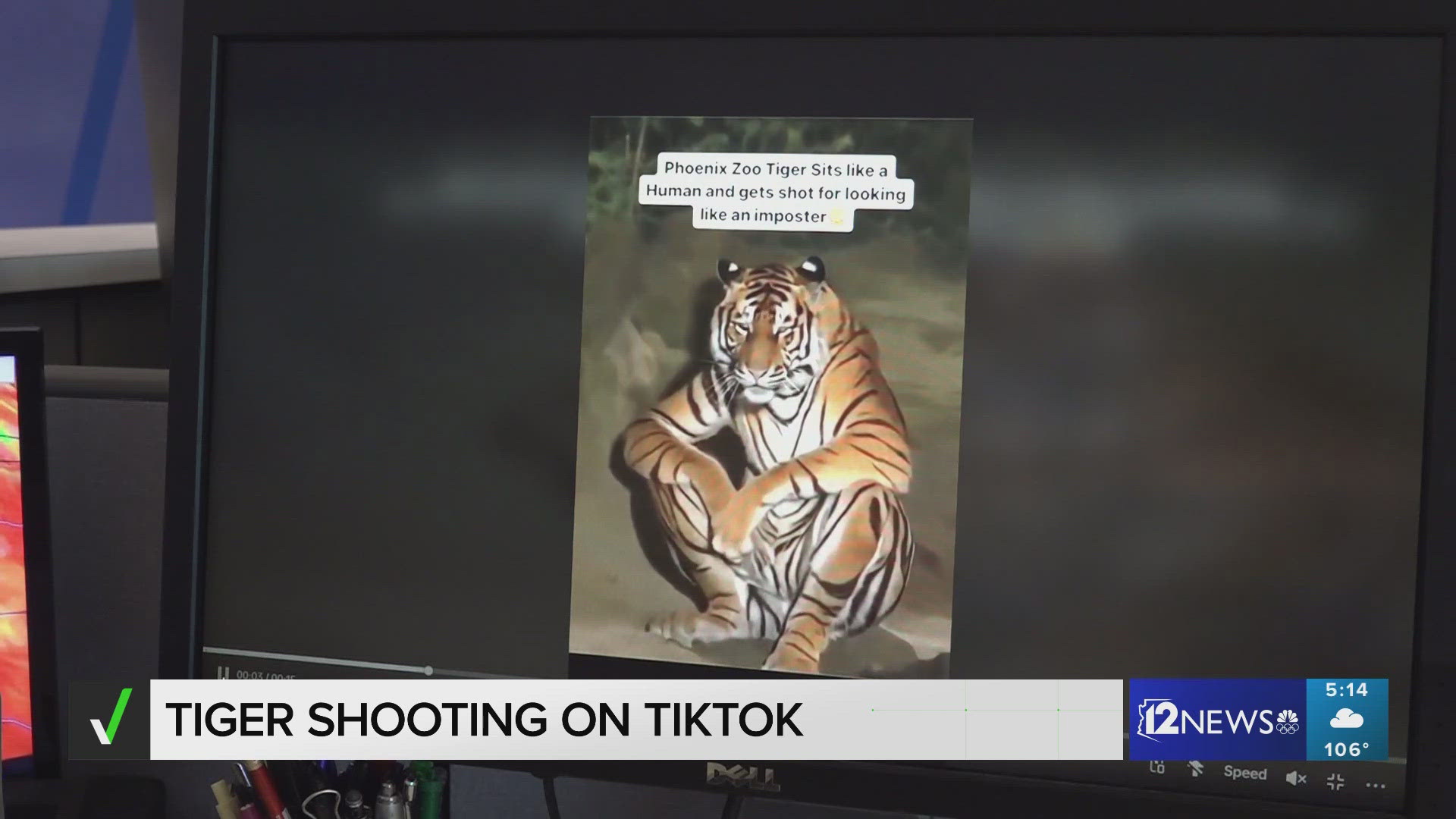 We VERIFY whether or not this viral video claiming to be a human-like tiger from the Phoenix Zoo is false or true.