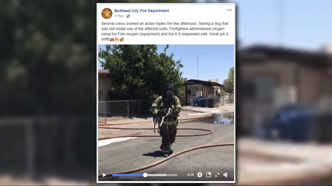 Bullhead City Fire Department rescues dog from house fire
