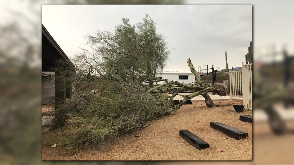 PHOTOS: Severe storm rips up trees, causes property damage July 9, 2018 ...