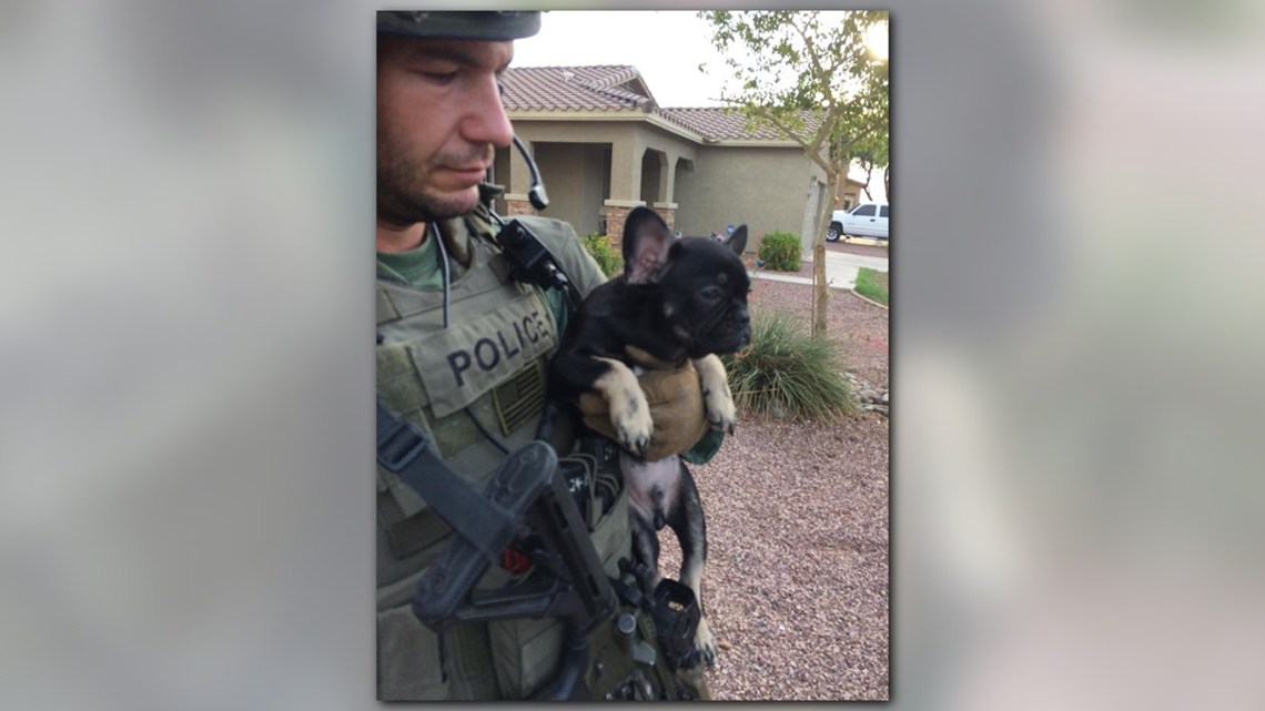 arrowhead mall dog store