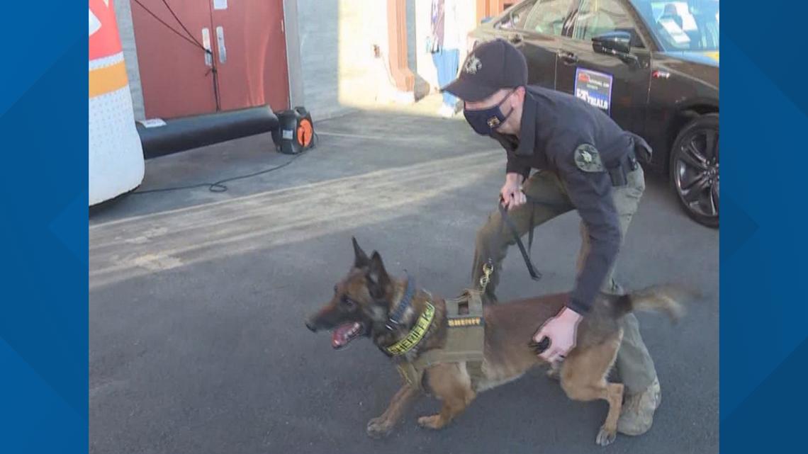 Dog teams compete in Desert Dog Police K9 trials in Scottsdale