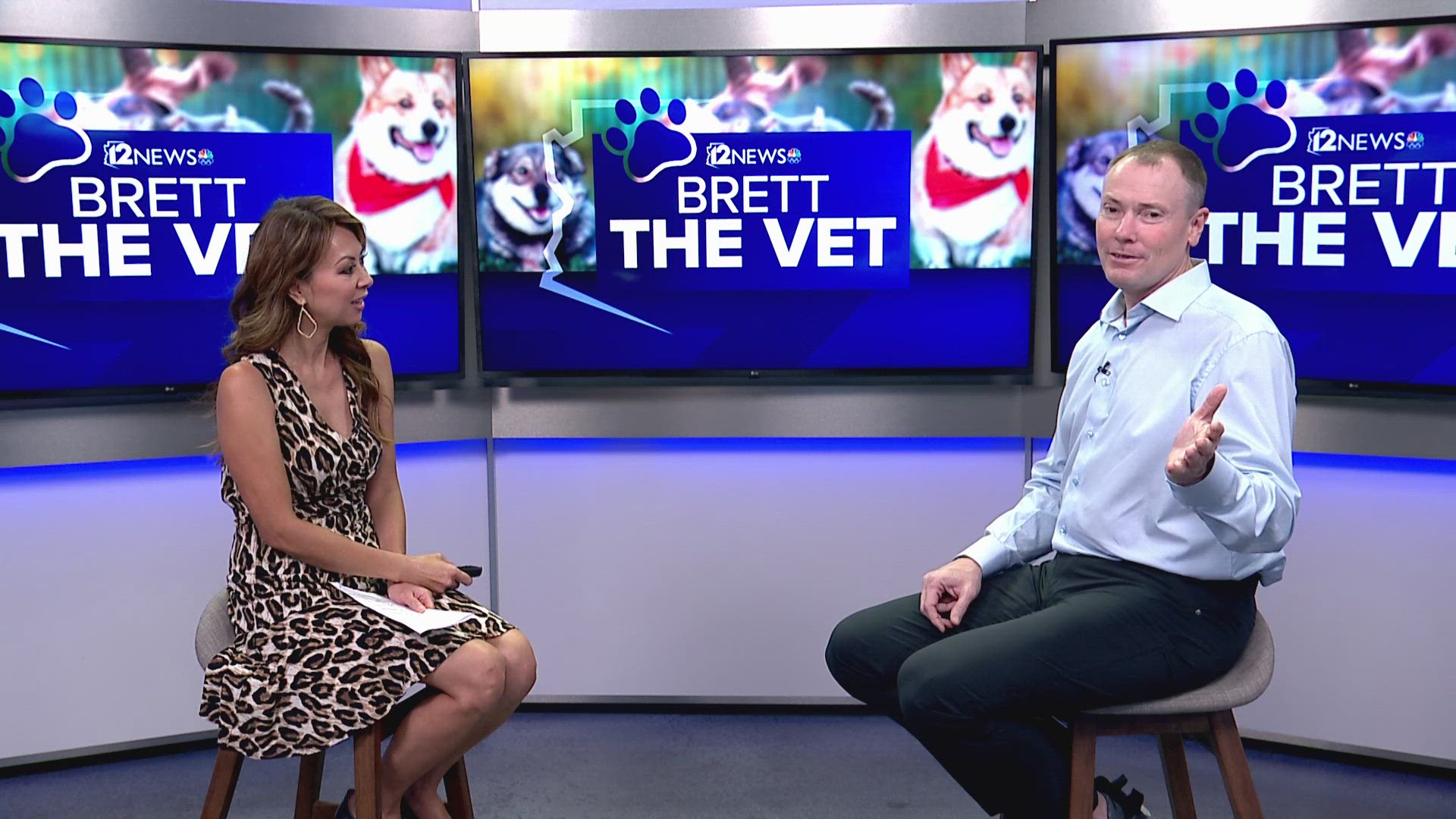 Dr. Brett Cordes, aka Brett the Vet is in studio sharing tips about the best ways to travel with your furry friends.