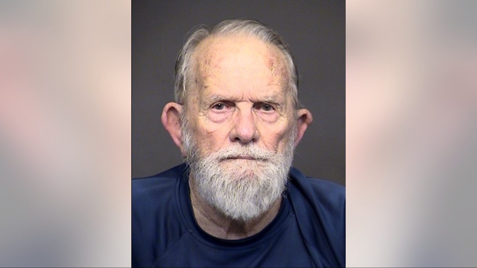 MUGSHOTS 24 suspects arrested in East Valley child sex sting