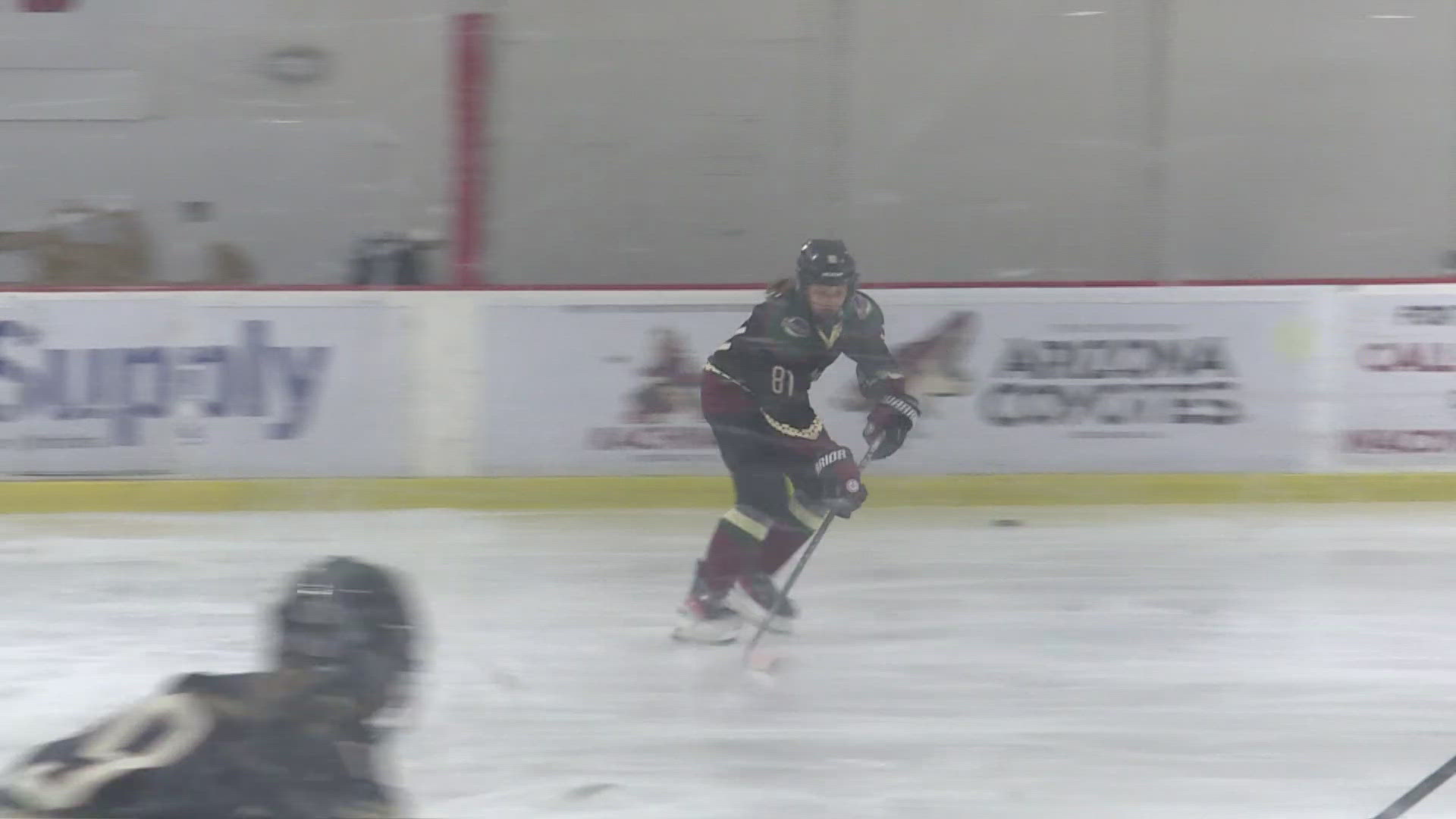 The Arizona Coyotes didn't fully fund youth hockey organizations, but their support paid off.