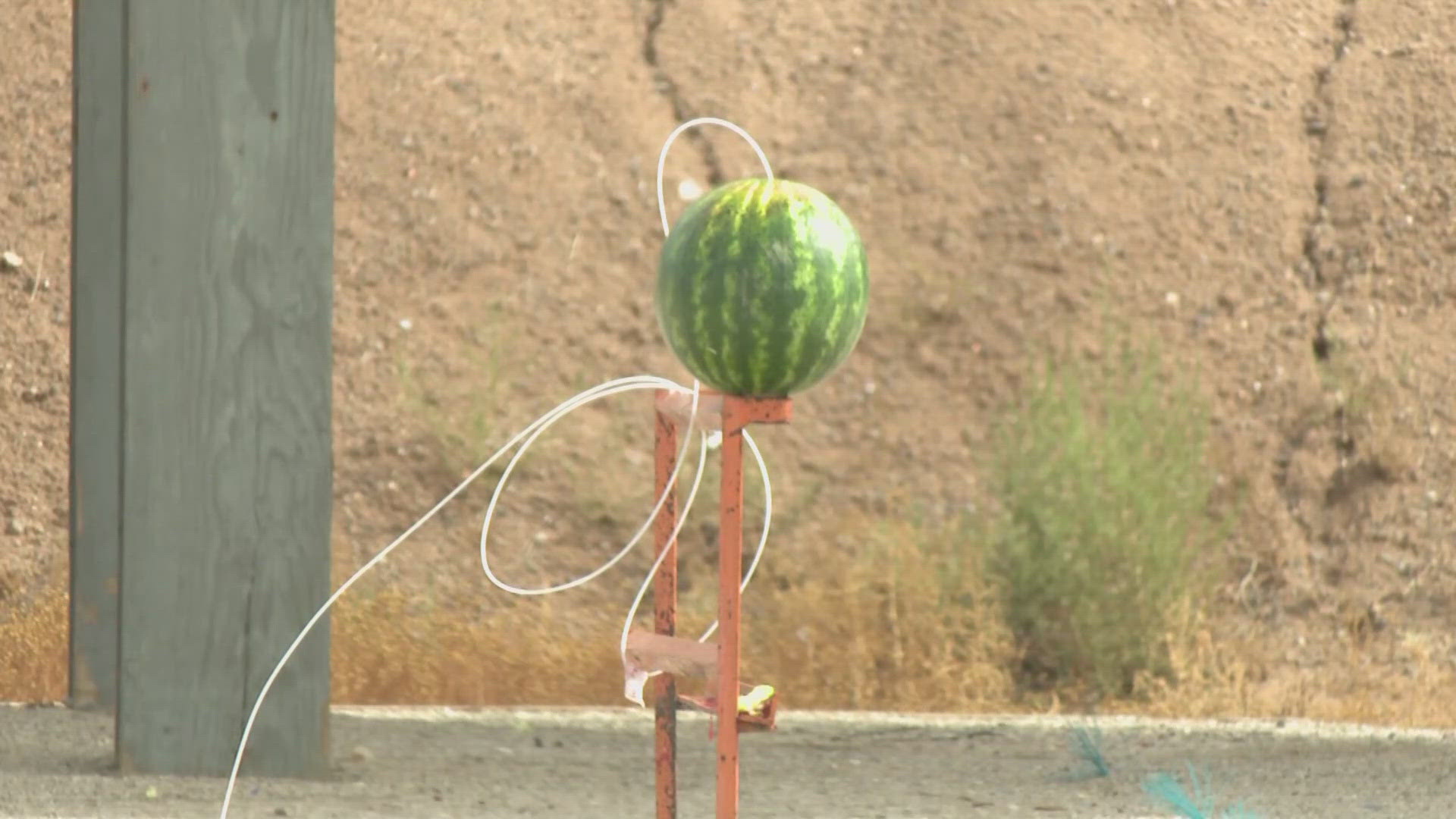 Officials used a watermelon to show the potential damage that fireworks can cause when not used properly.