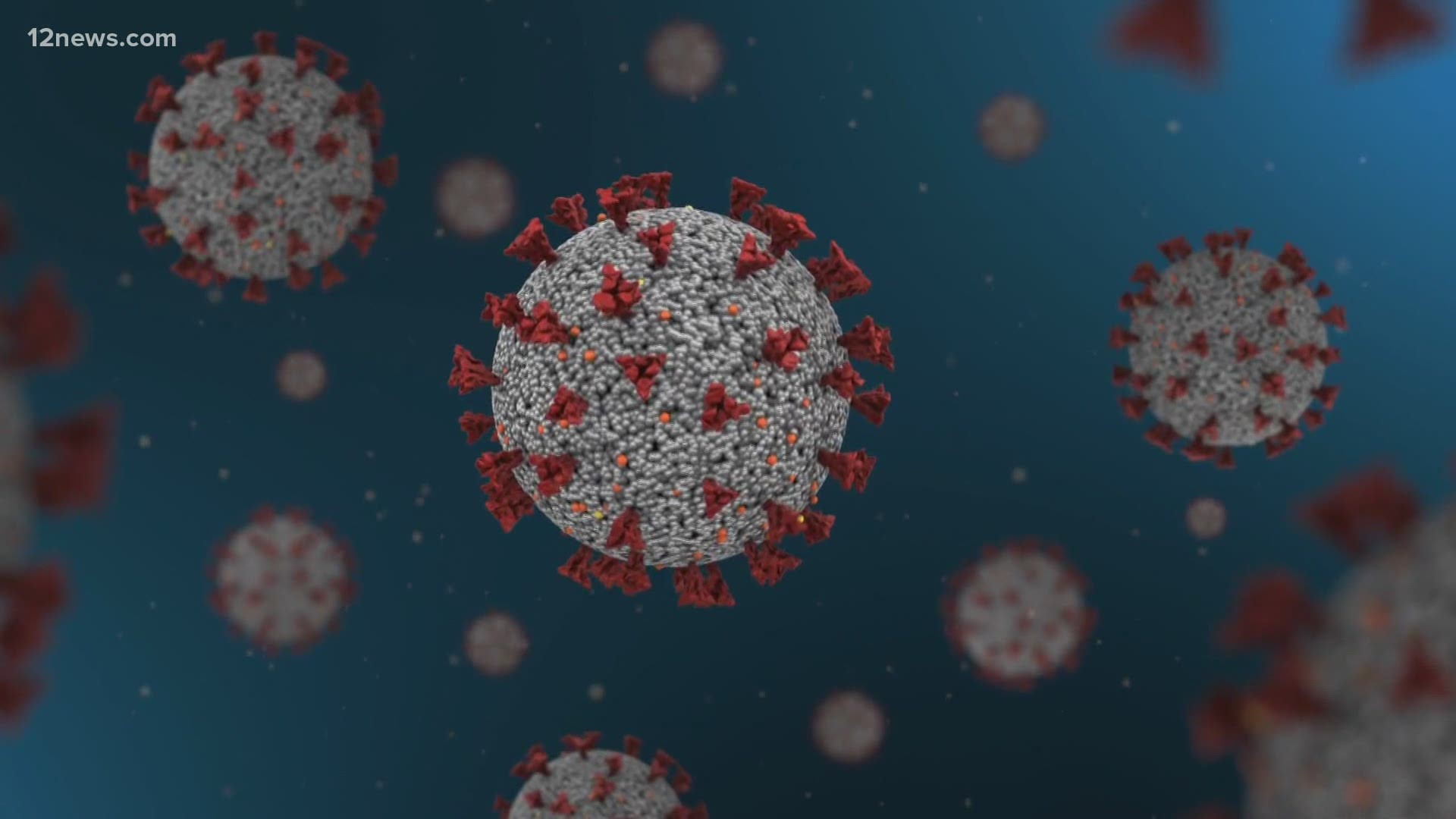 New data from a non-profit research group suggests nearly all of Arizona's COVID-19 cases go back to one strain of the virus.
