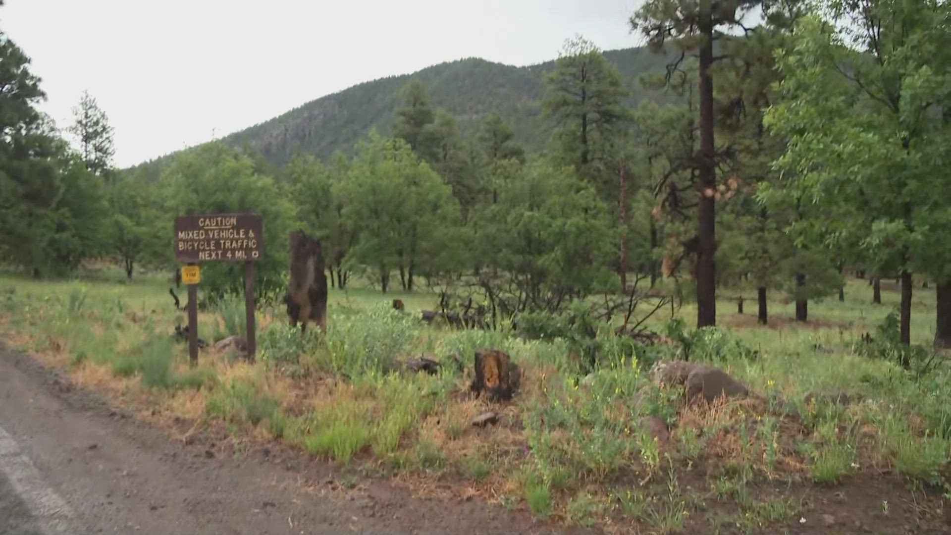 The National Weather Service issued a warning for thunderstorms producing heavy rain through 4:15 p.m. Tuesday.