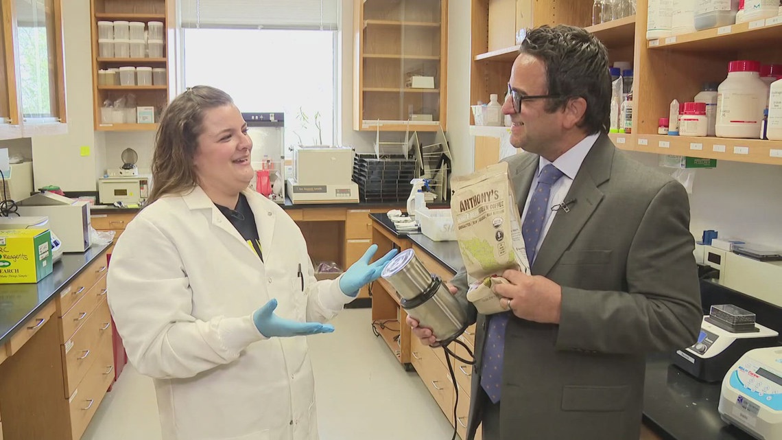 NAU biologists are racing to stop a global coffee infestation | 12news.com