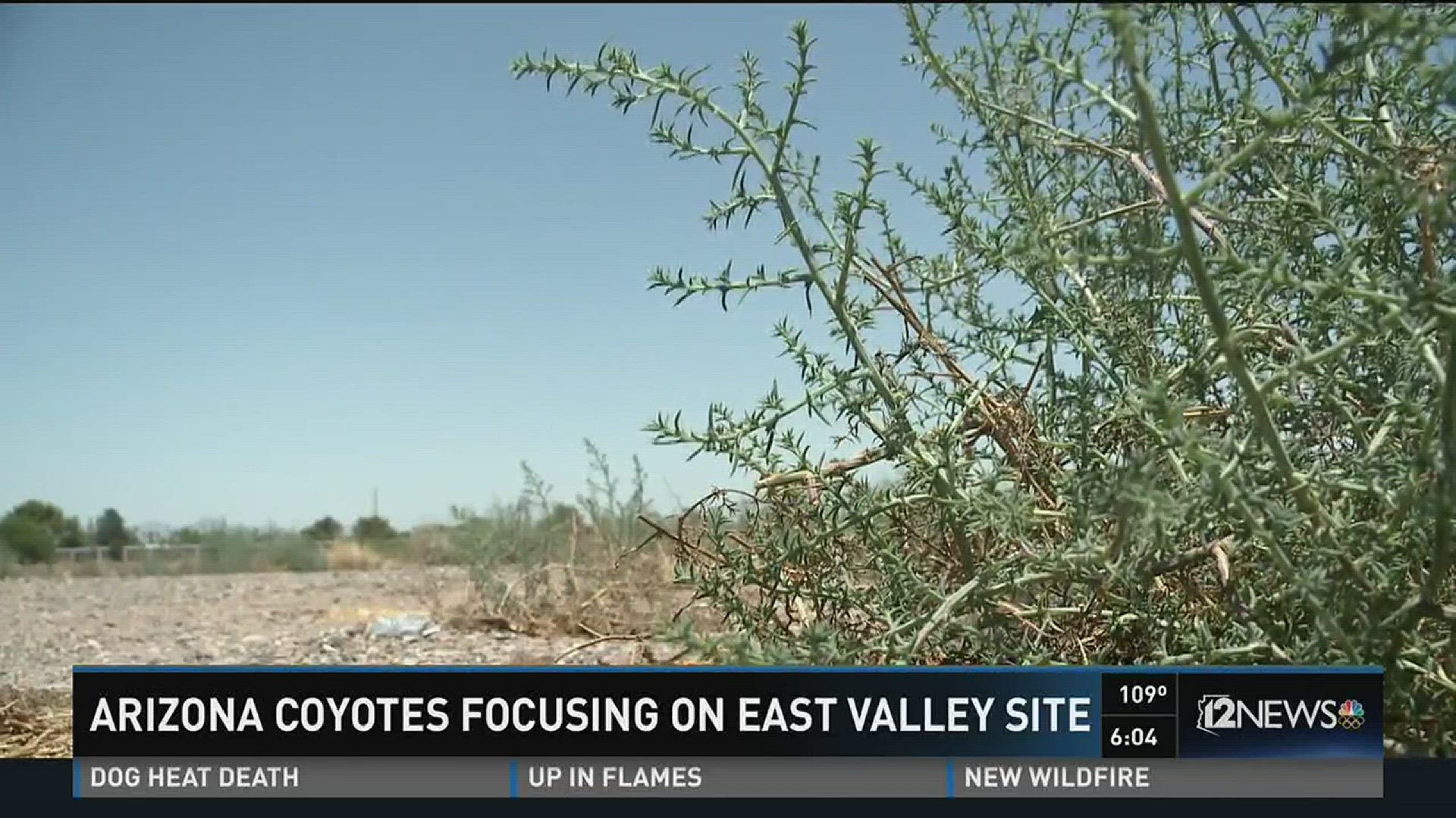 The Arizona Coyotes are focused on an East Valley location for a new arena