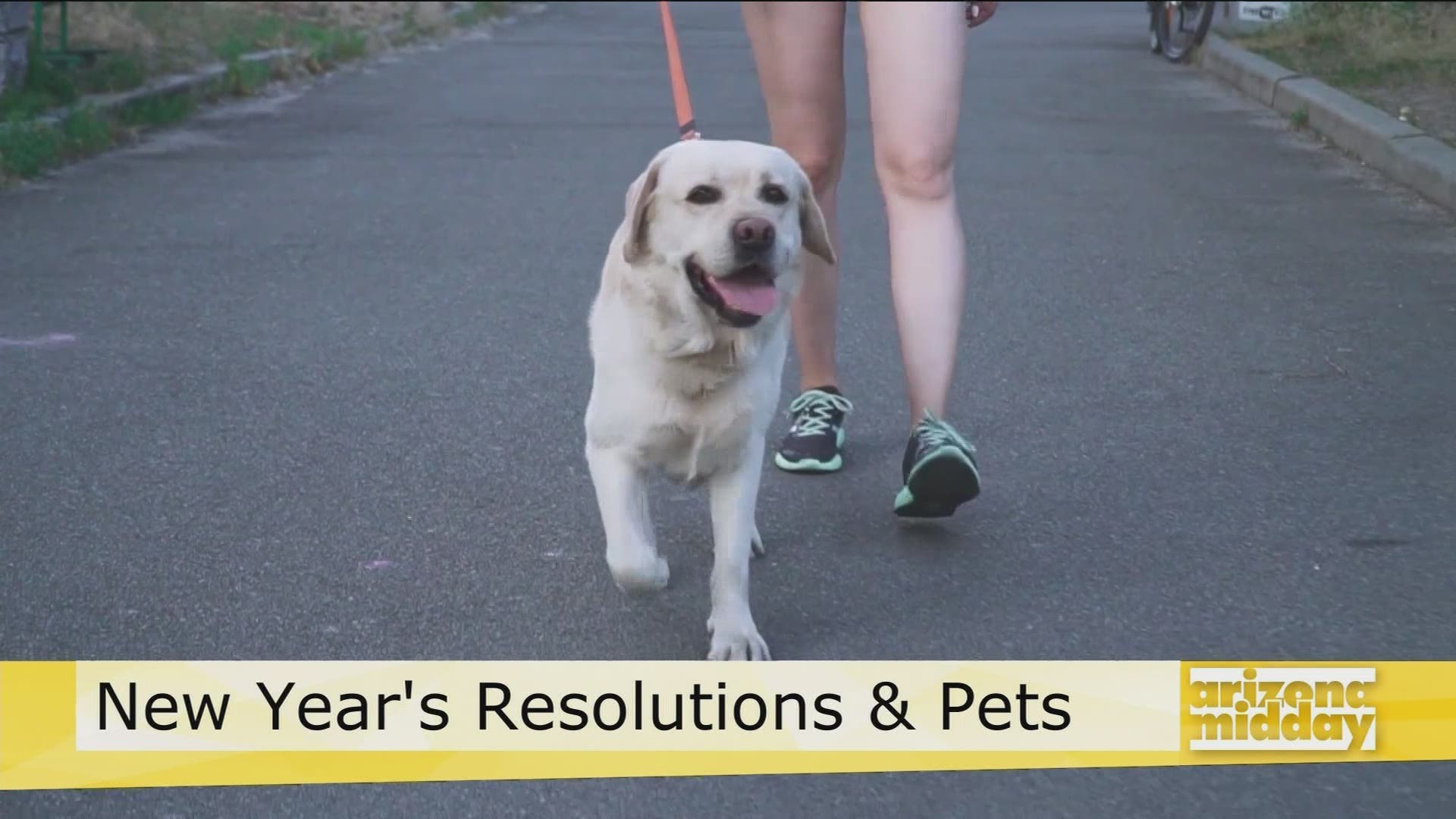 Jodi Polanski with Lost Our Home Pet Rescue shows us how pets can help us keep out resolutions plus how you can help the shelter!