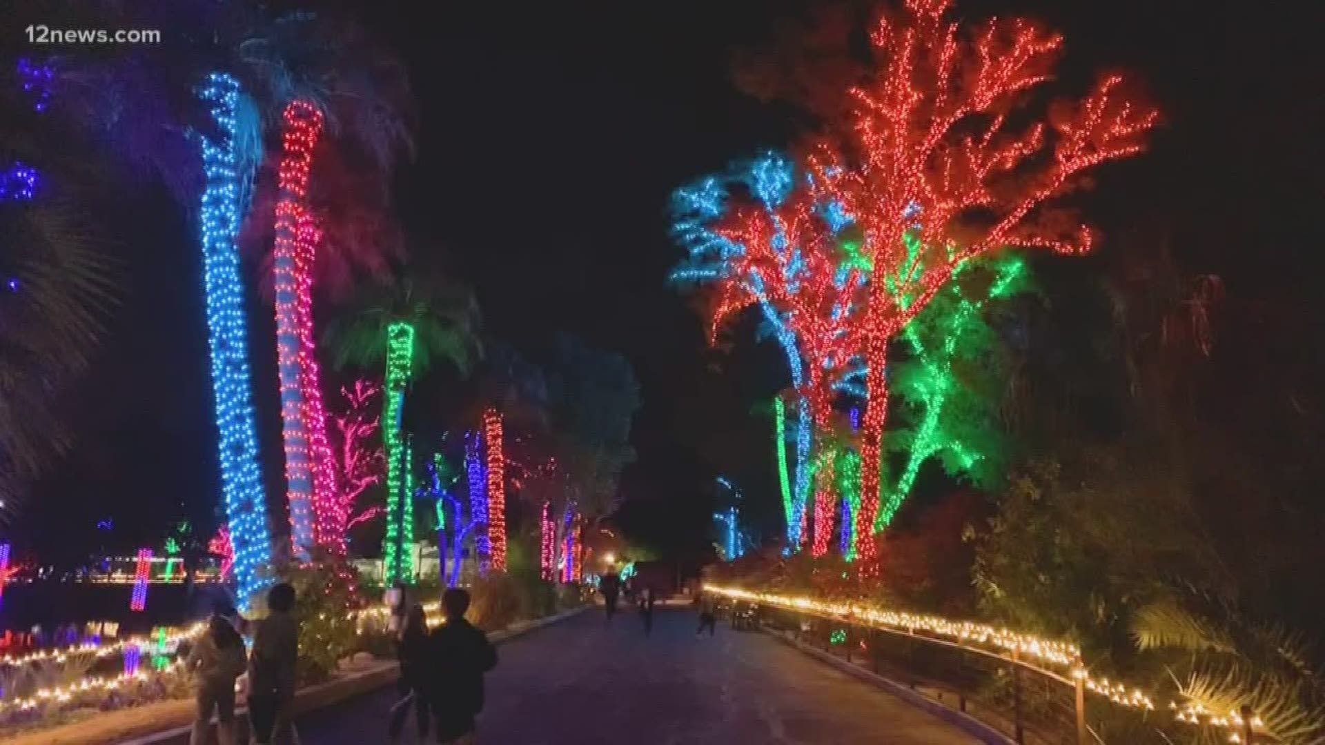 ZooLights at the Phoenix Zoo draws big crowds during the holiday season. Colleen Sikora has a preview.
