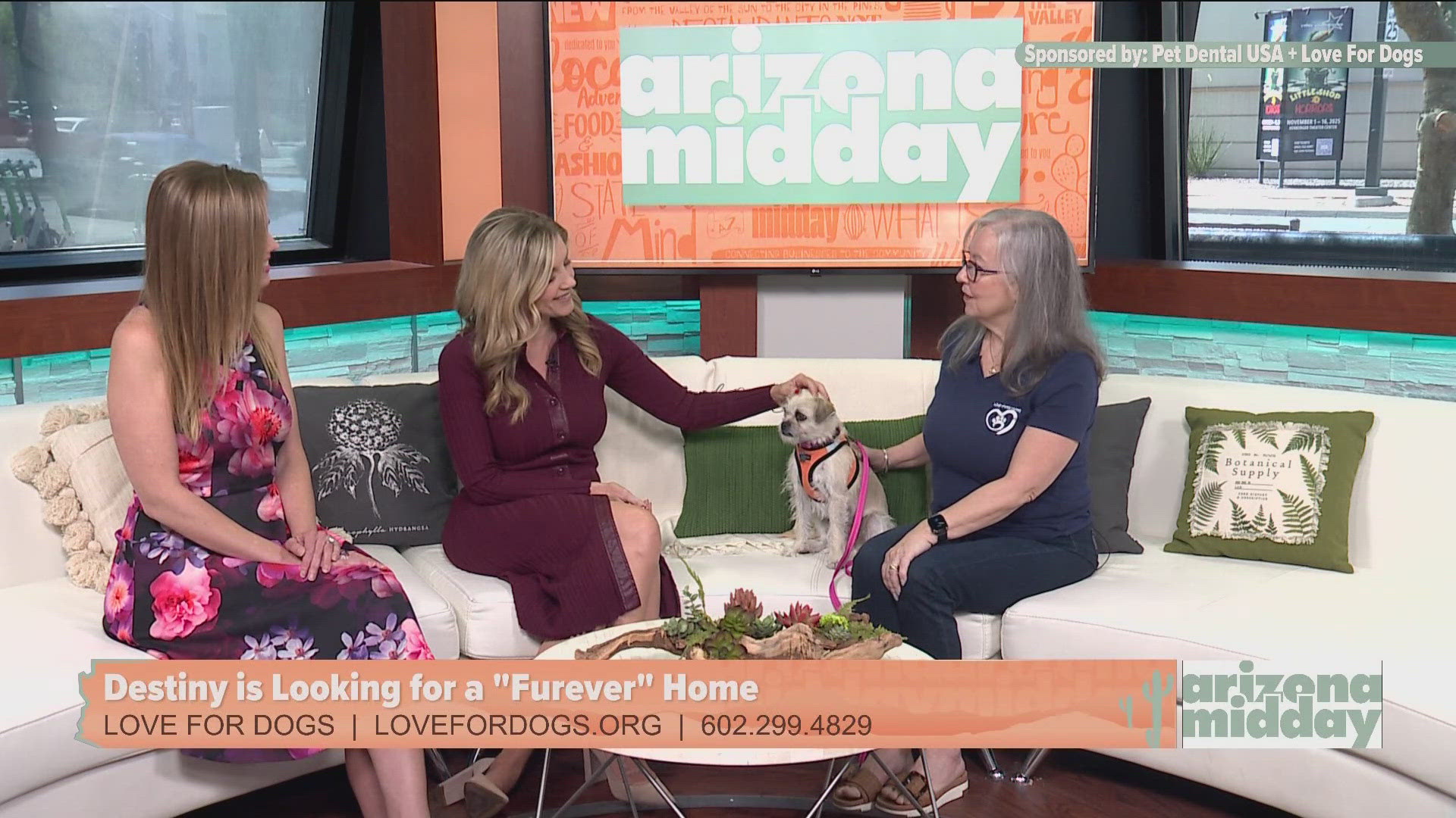 Love our Dogs introduces us to Destiny and Krystle has your Pawcast