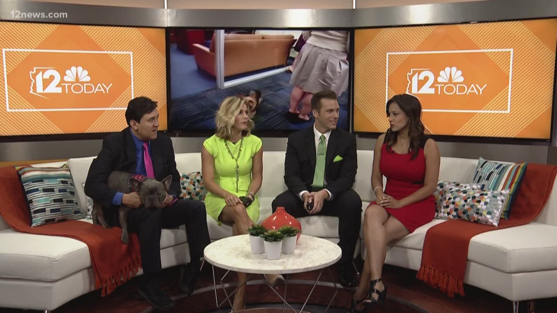 Jimmy Q's dog stops by 12 Today to hang out with the morning crew.