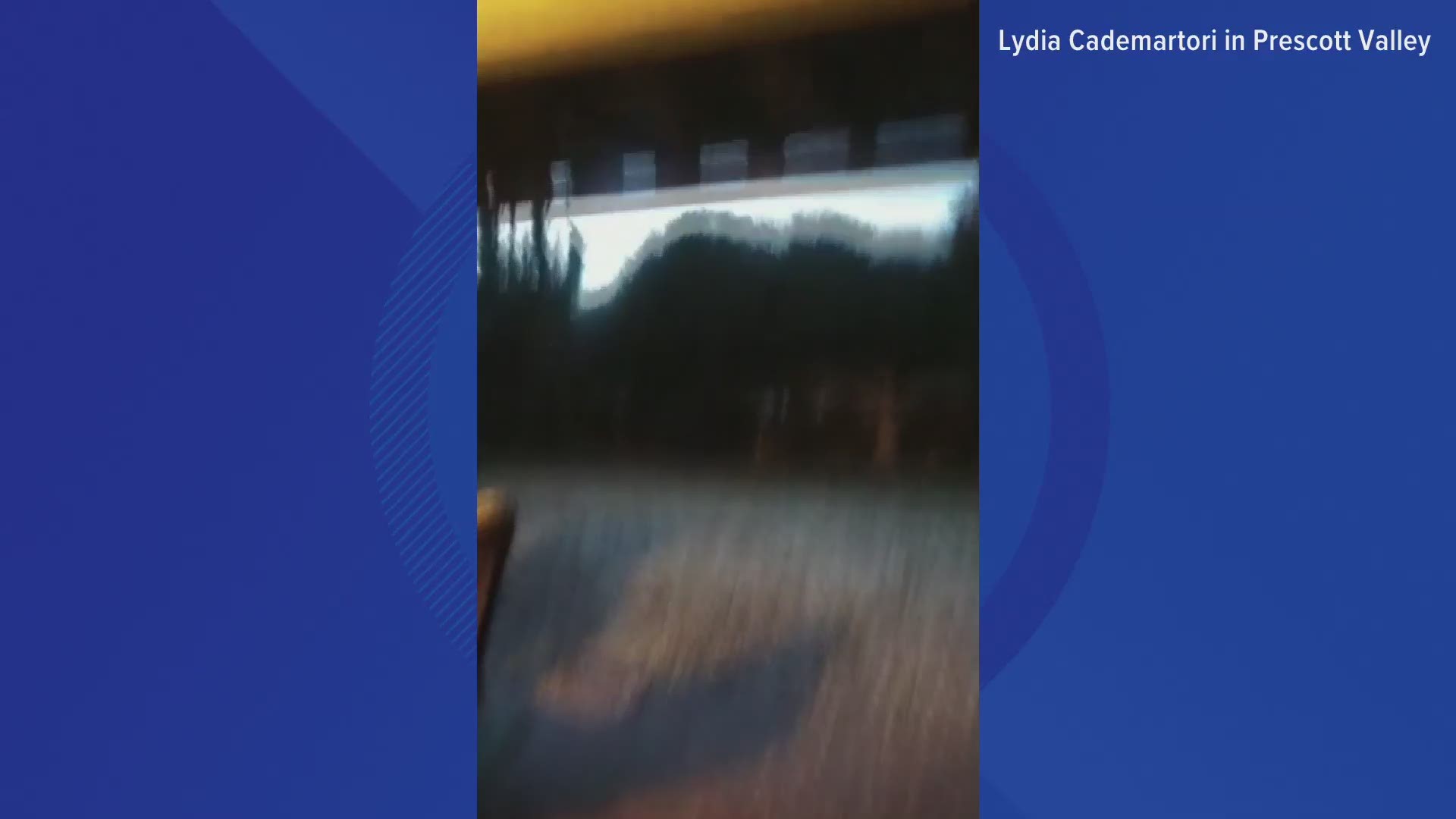 Lydia Cademartori captured video of hail falling in Prescott Valley. Storms passed through the area on the morning of Nov. 6, 2019.