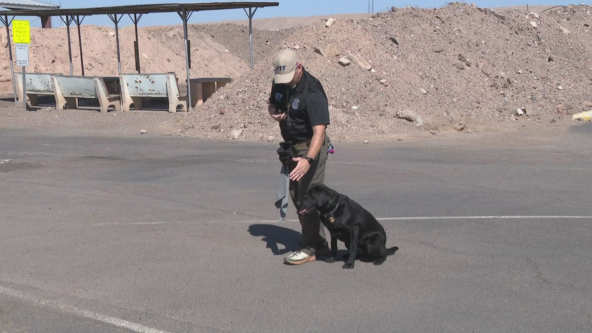 Murphy is almost two years old, but in his young age this black lab has already been through intense training.